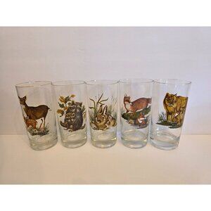 West Virgina Glass West Virginia Wildlife Woodland Animals 11oz Glass Set Of 5